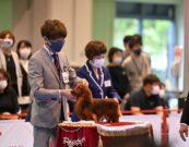 カニンヘンダックスフンド：Kaninchen Dachshund