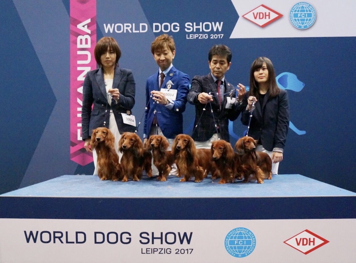 ダックスの「世界No.1ブリーダー」ってどういうこと？ | 世界No.1